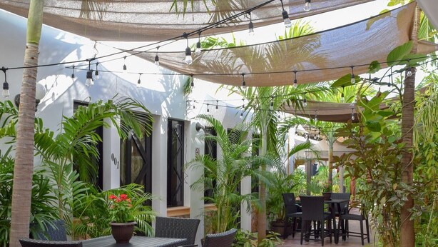 An outdoor patio area with tables and chairs, surrounded by potted plants and palm trees. - 202 Junior Suite w/balcony & living area. (Isla Mujeres)