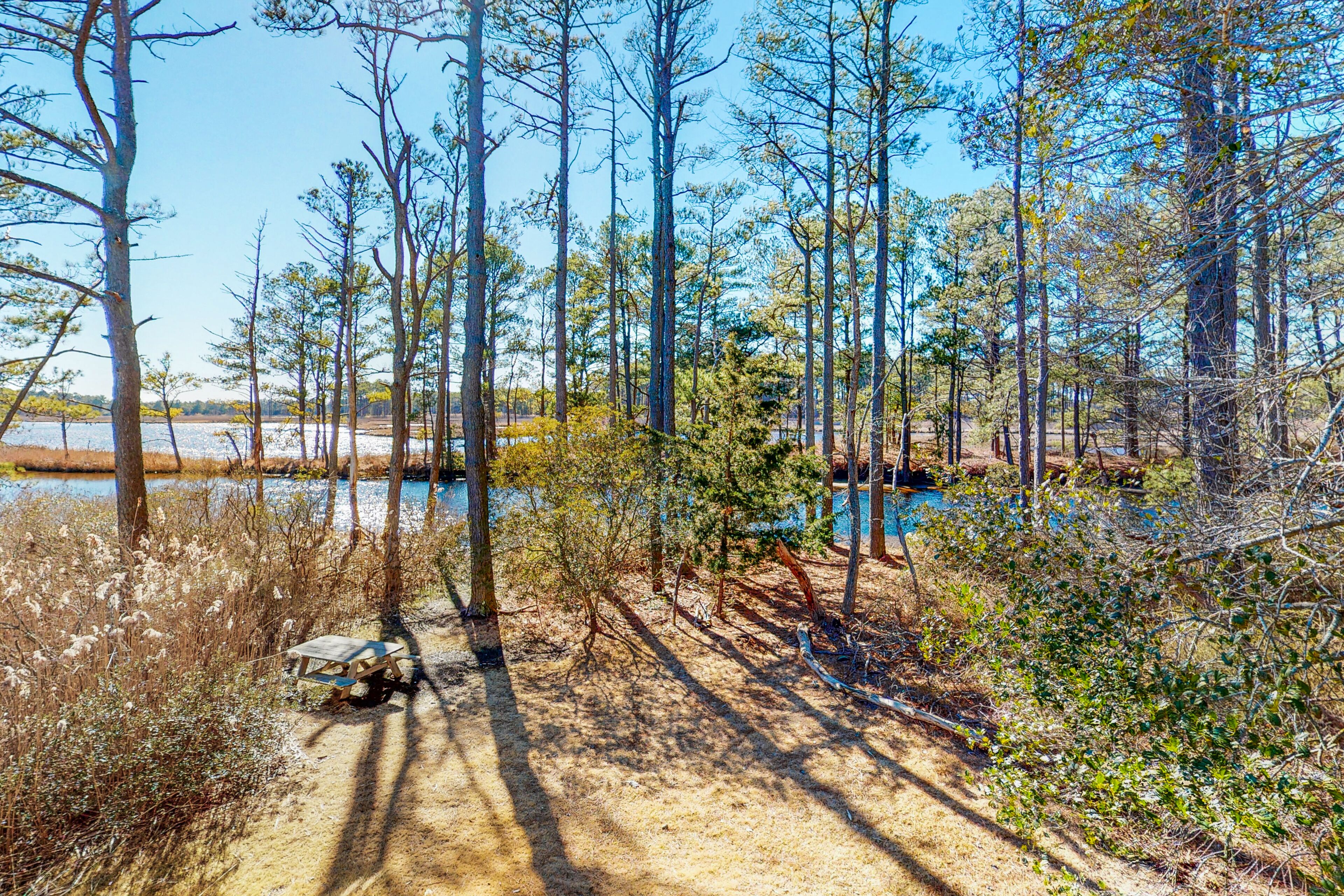 Cat Hill house with free WiFi and canal access