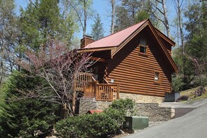 Estudio (2 Bedrooms) | Servicios del alojamiento