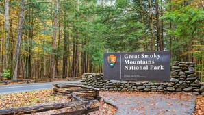 Studio (6 Bedrooms) | Property amenity - Big Bear 2 (Gatlinburg)