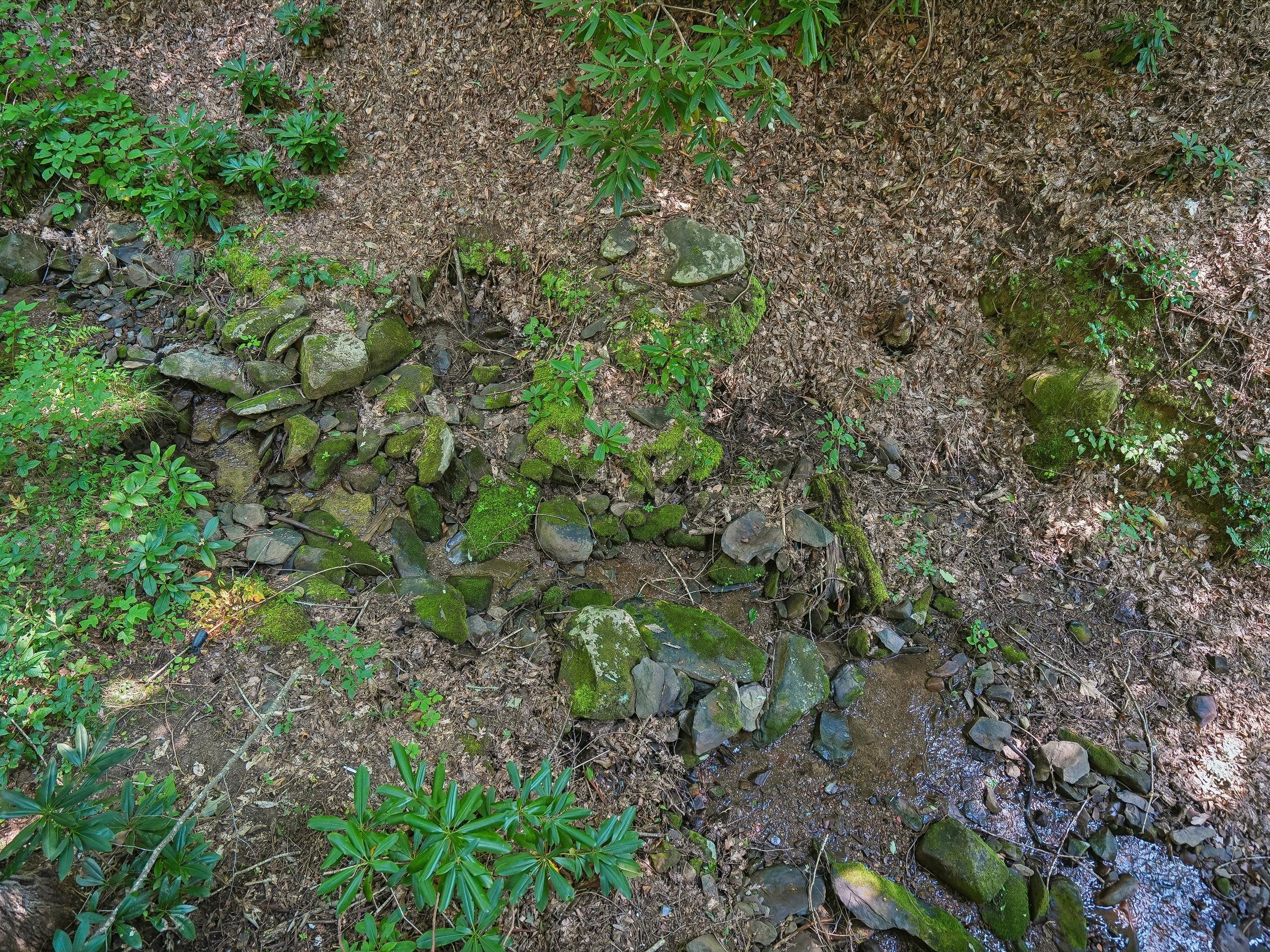 A natural outdoor area with rocks, moss, and green foliage.