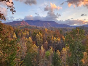 Studio (4 Bedrooms) | Majoituspaikan mukavuudet