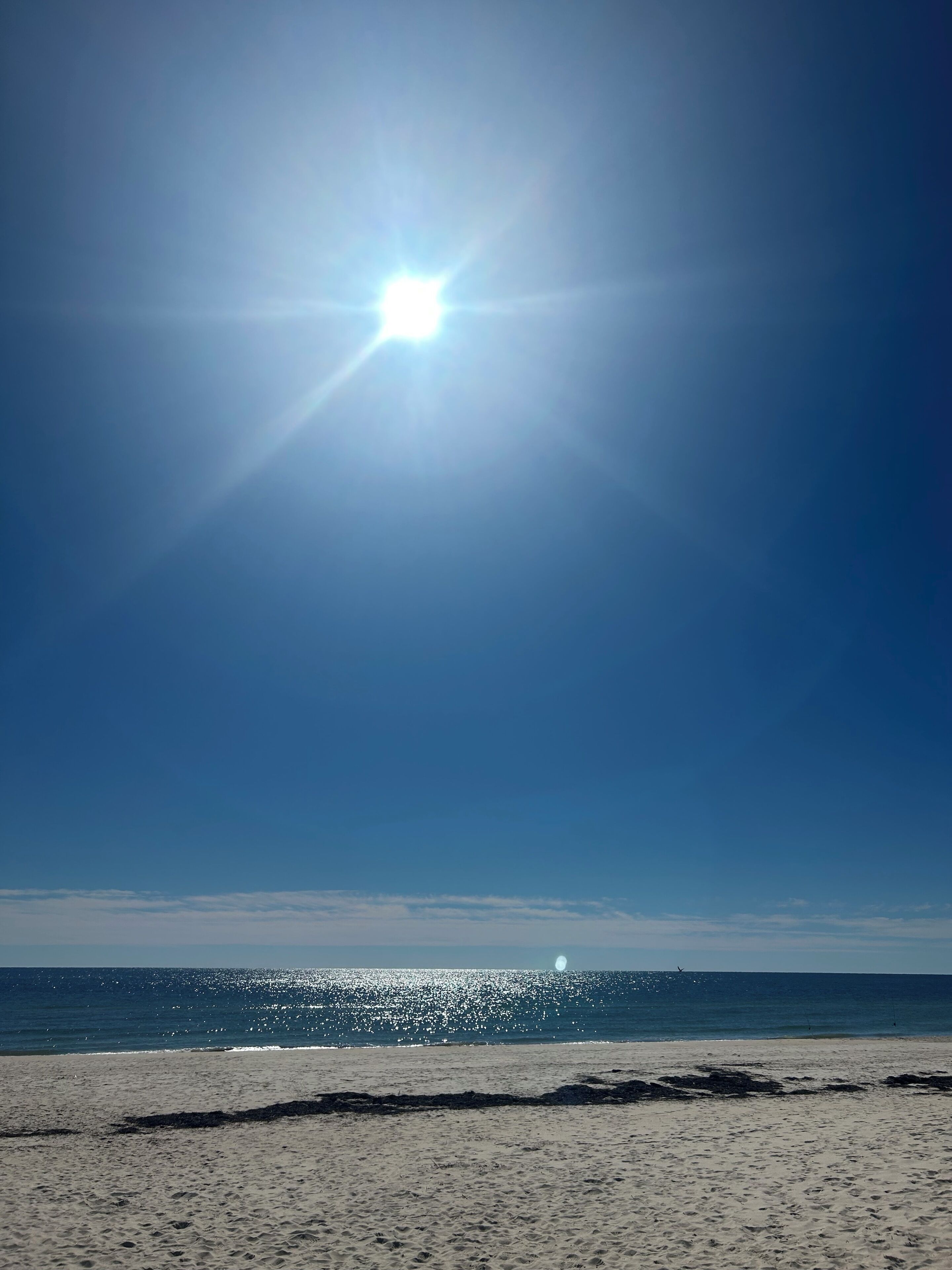 Plage à proximité, chaises longues, serviettes de plage