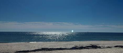 Ubicación cercana a la playa, tumbonas y toallas de playa