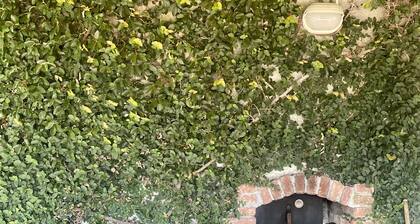 In absolute silence with a sea view