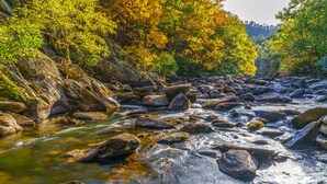 星評価なしの画像、4 / 12、ボタン