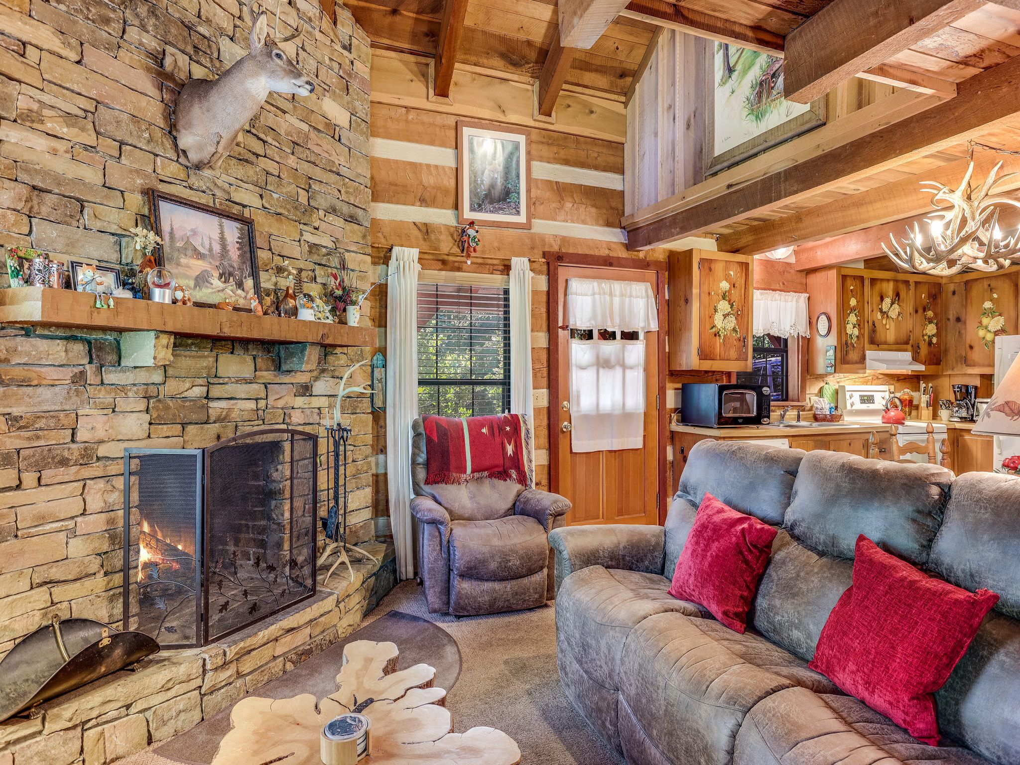 Studio (2 Bedrooms) | Living area | TV, fireplace, MP3 dock