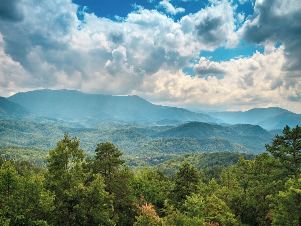 A mountainous landscape with dense forest in the foreground and rolling hills in the background.
