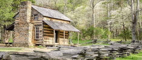 Cabin (God's View) | Exterior