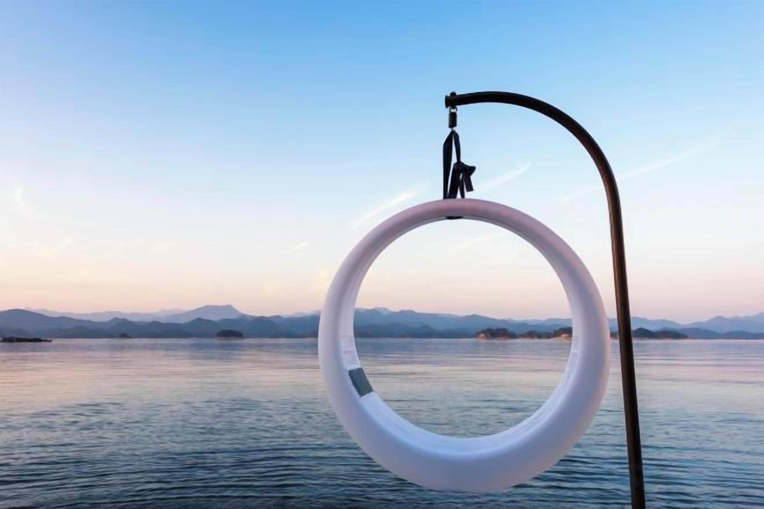 A ring buoy in the water with a clear sky and distant mountains in the background.