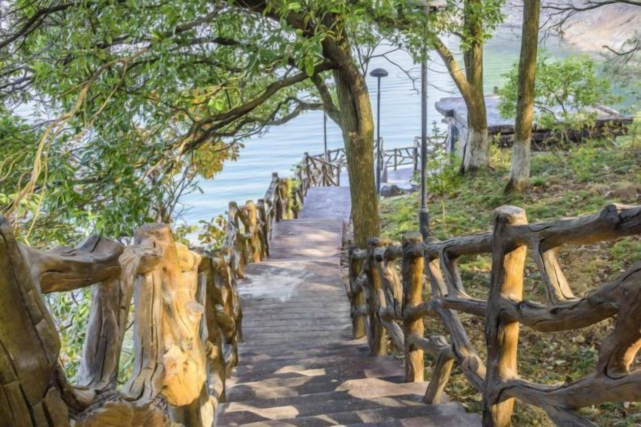 A wooden pathway leading to a body of water, surrounded by trees and a fence.