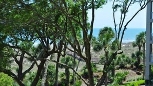 A view of a coastal area with trees and a building in the background. - Palmetto Dunes Ocean-View Villa w/ Balcony, Jacuzzi,  Golf, Dolphin Tour & Beach Gear Included (Hilton Head Island)
