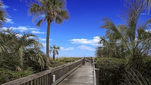 A wooden boardwalk with railings, surrounded by palm trees and dense foliage. - Panoramic Ocean Views! Breakers Condo Steps to Dining & Shops (Hilton Head Island)