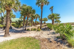 A sandy landscape with palm trees and a hammock.
