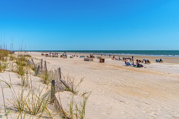A beach with sand dunes, beach chairs, and umbrellas.