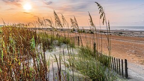 A beach with tall grasses and a wooden fence.