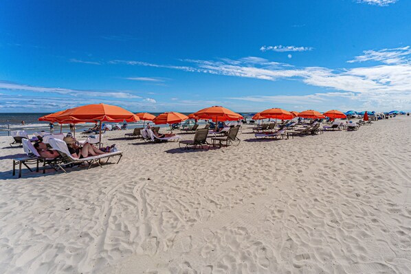 Beach - Charming 3BR Sea Pines Retreat • Lagoon Views, Pool Access & Near Shops & Trails (Hilton Head Island)
