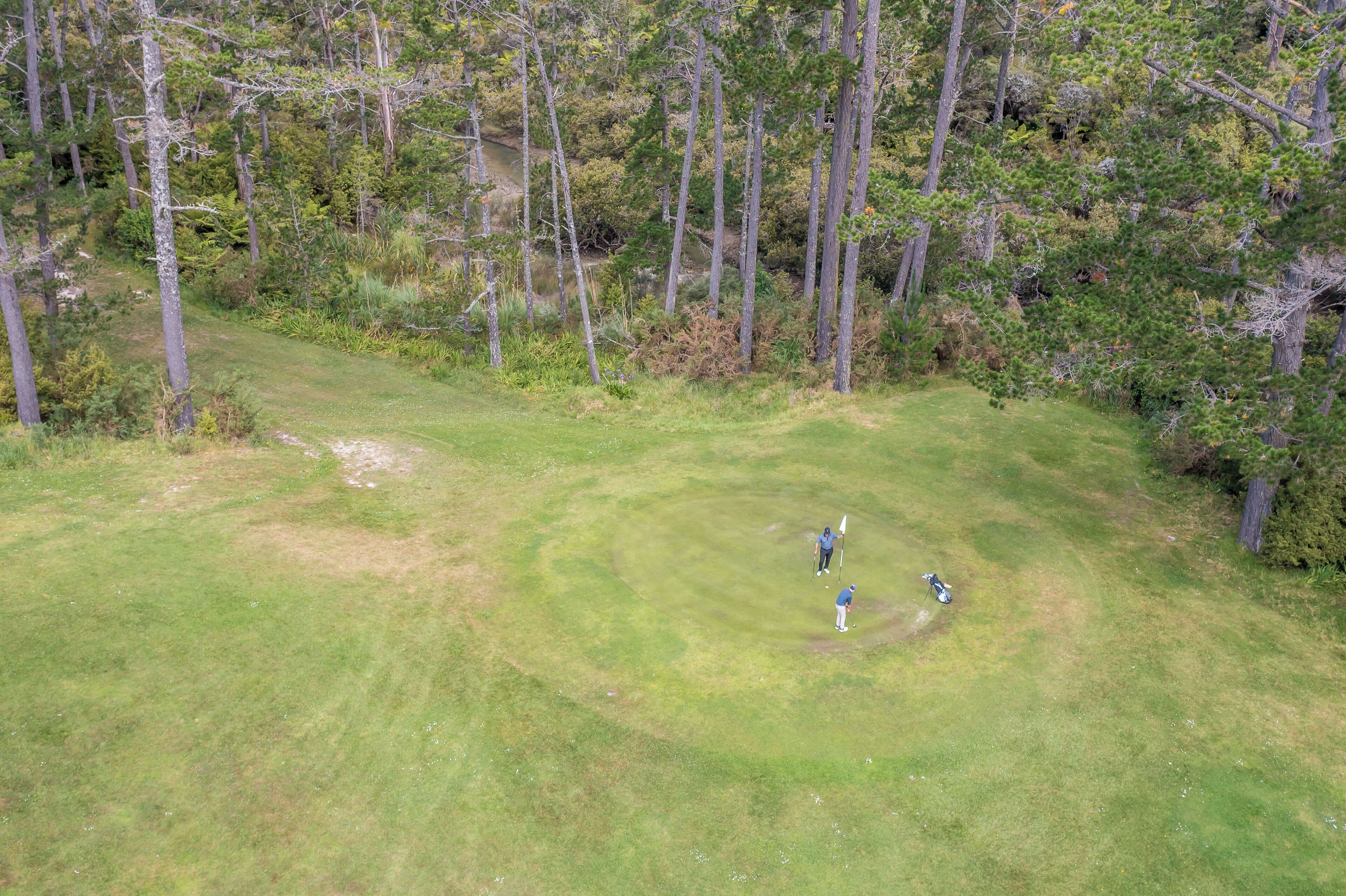 Luchtbeeld van een golfbaan met een verzorgd groen, omgeven door dichte bomen.