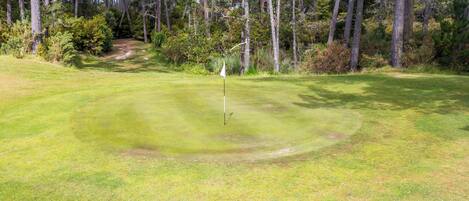 A well-maintained golf course with a flagstick in the center, surrounded by dense trees and a clear sky.