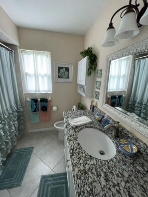 Combined shower/bathtub, hair dryer, towels, soap