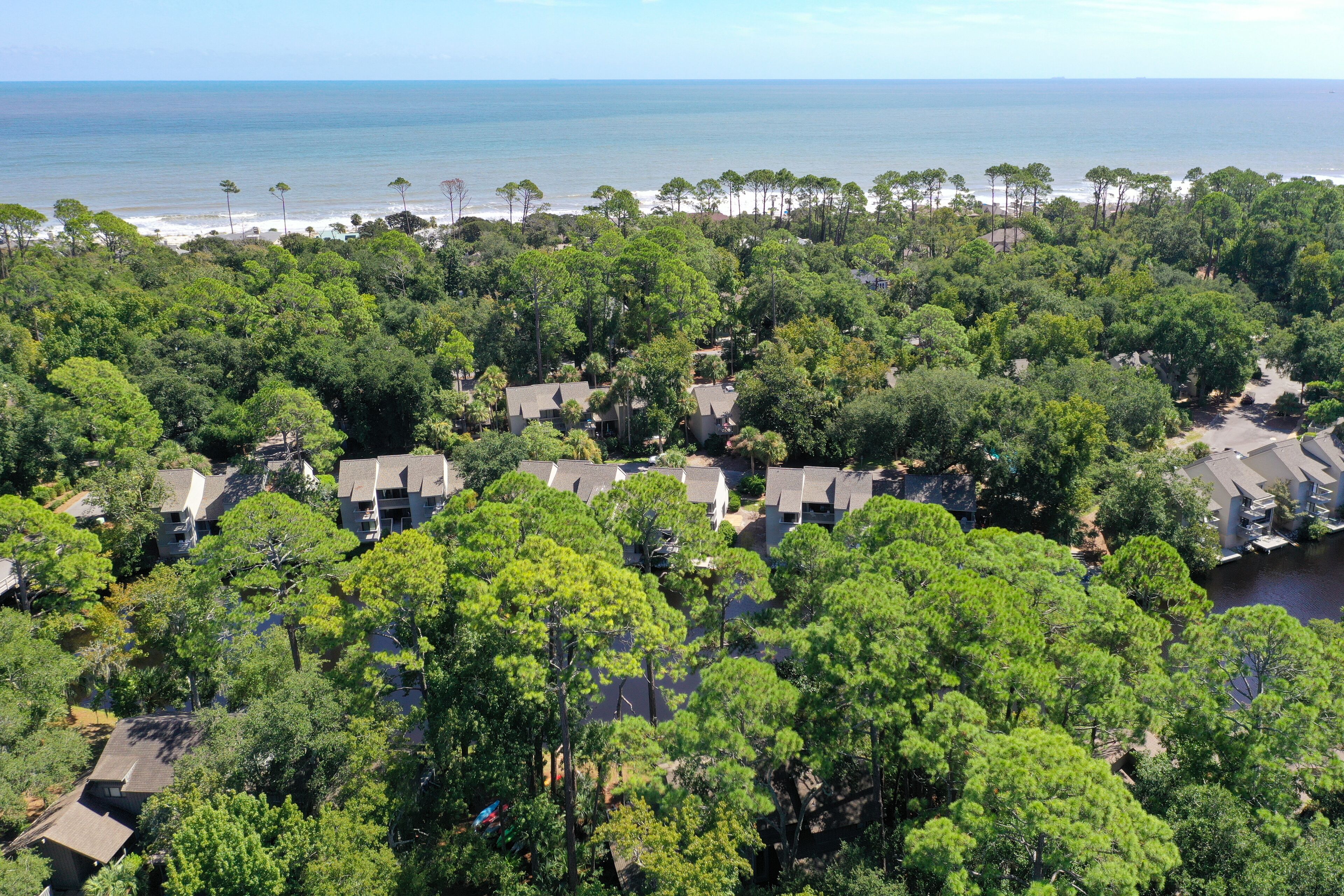 An aerial view of a residential area with houses surrounded by dense greenery, a beach, and the ocean in the background.