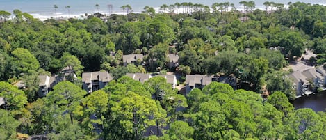 Vista aérea de una zona residencial con casas rodeadas de abundante vegetación, una playa y el océano al fondo.