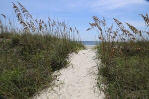 A sandy beach path with tall grasses on either side, leading towards the ocean.