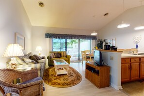 TV, DVD player, books, video library