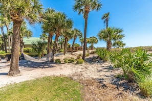 Property grounds - Shipyard Villa with Pool Views, Screened Porch & Easy Beach Access Near Coligny (Hilton Head Island)