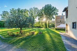 Property grounds - Santa Flora - Luxury Holiday Rental with swimming pool in Cortona, Tuscany (Ponte Caliano)