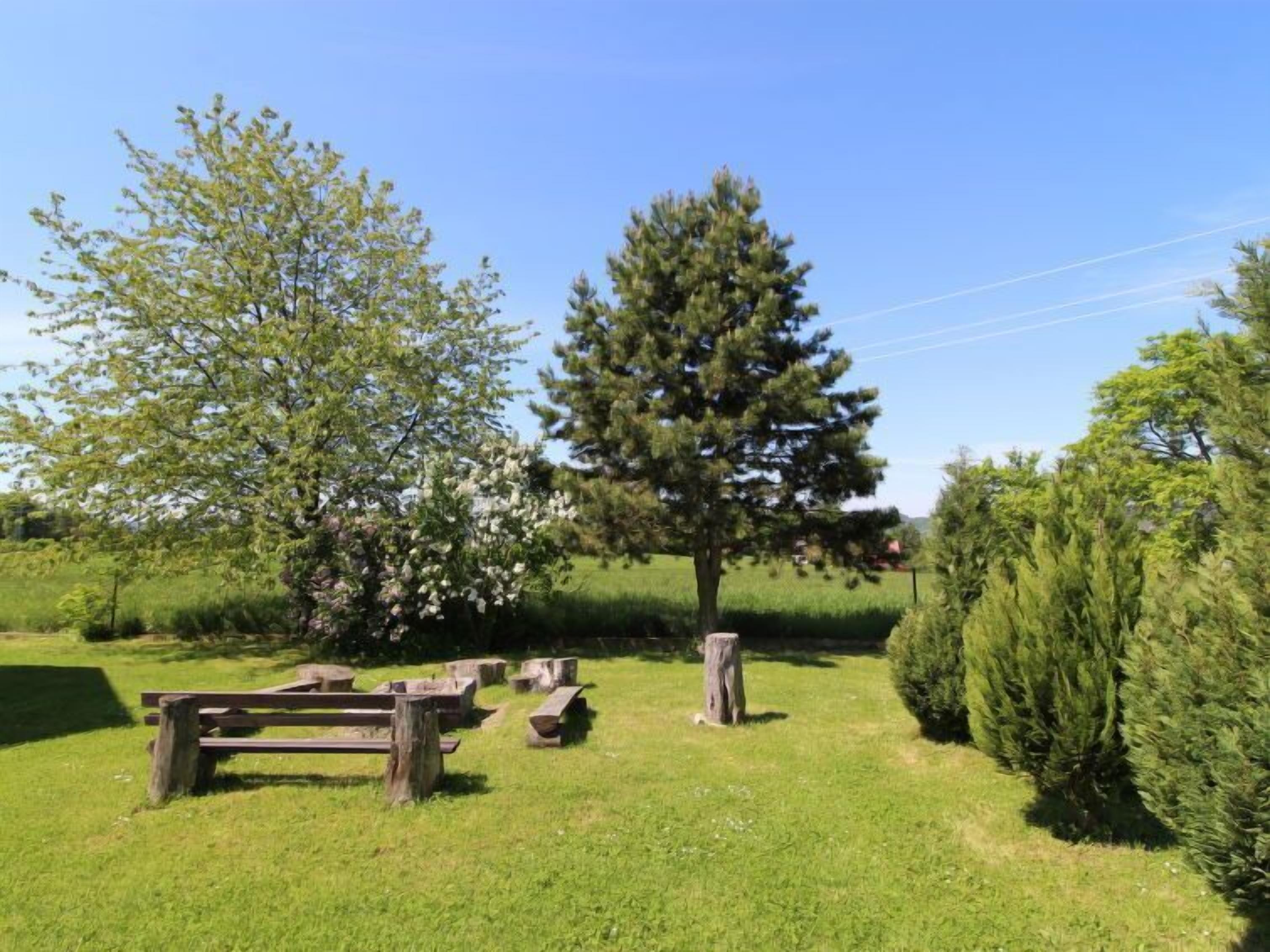 Eine begrünte Außenfläche mit Picknicktischen und einem großen Nadelbaum.