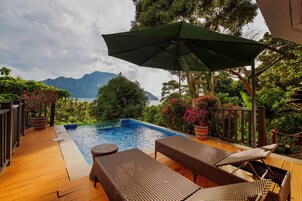 Una piscina al aire libre, sombrillas, sillones reclinables de piscina