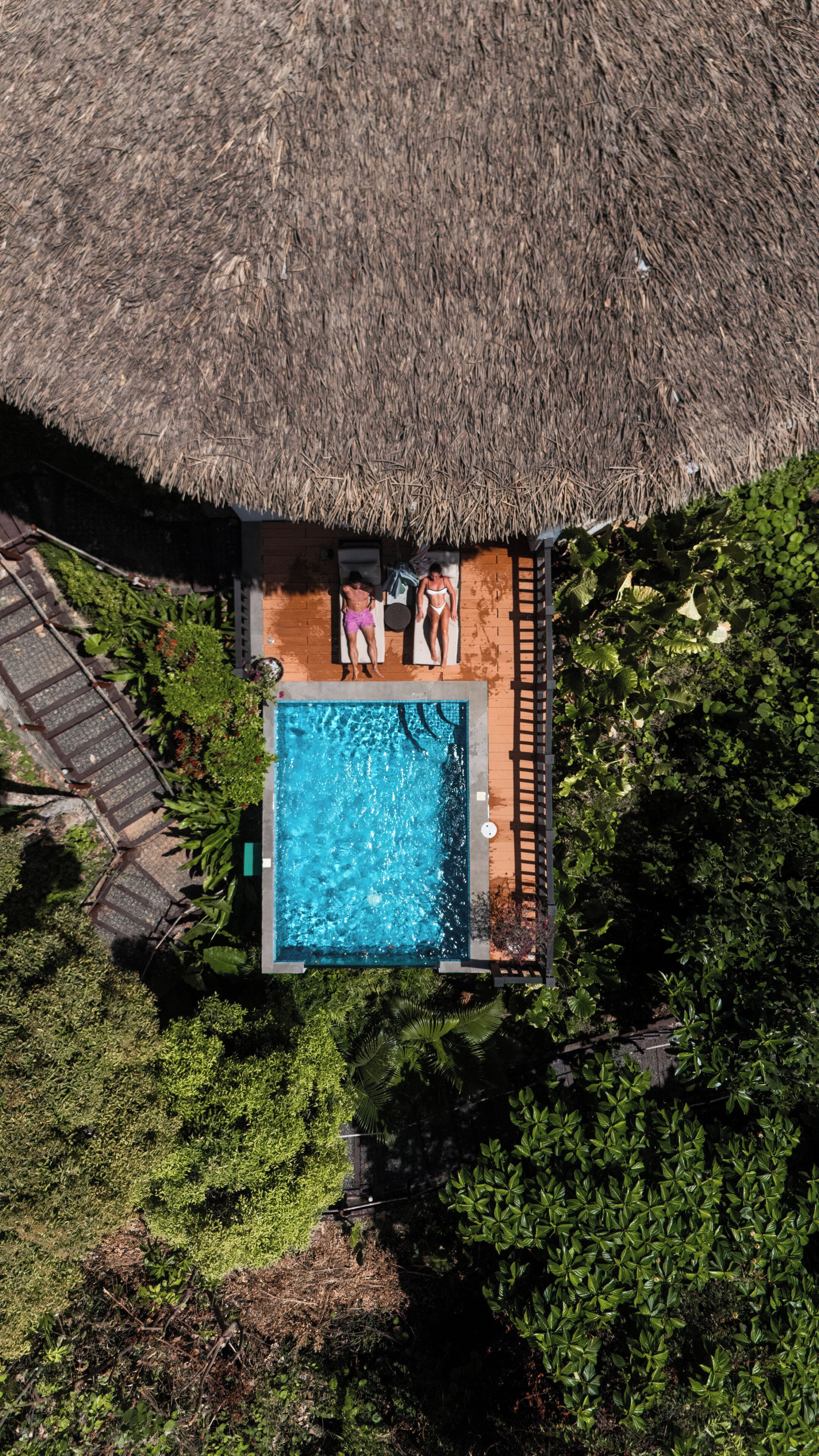 Outdoor pool, pool umbrellas, pool loungers
