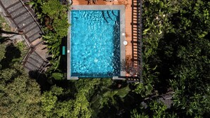 Vista aerea di una struttura con tetto di paglia, una piscina e una zona relax immersa nel verde.