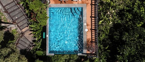 Outdoor pool, pool umbrellas, sun loungers