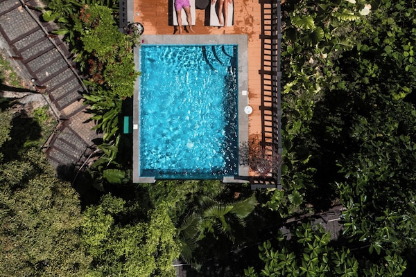 Una piscina al aire libre, sombrillas, tumbonas