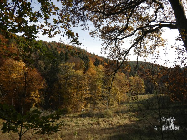 Luokittelematon kuva, 1 kautta 36, painike