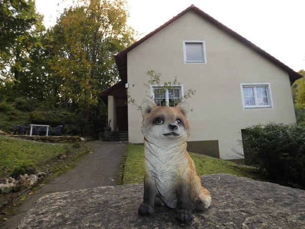 Photo non classée, 1 sur 36, bouton