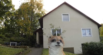 Goldener Fuchs in Moschendorf