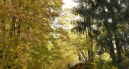 Goldener Fuchs in Moschendorf