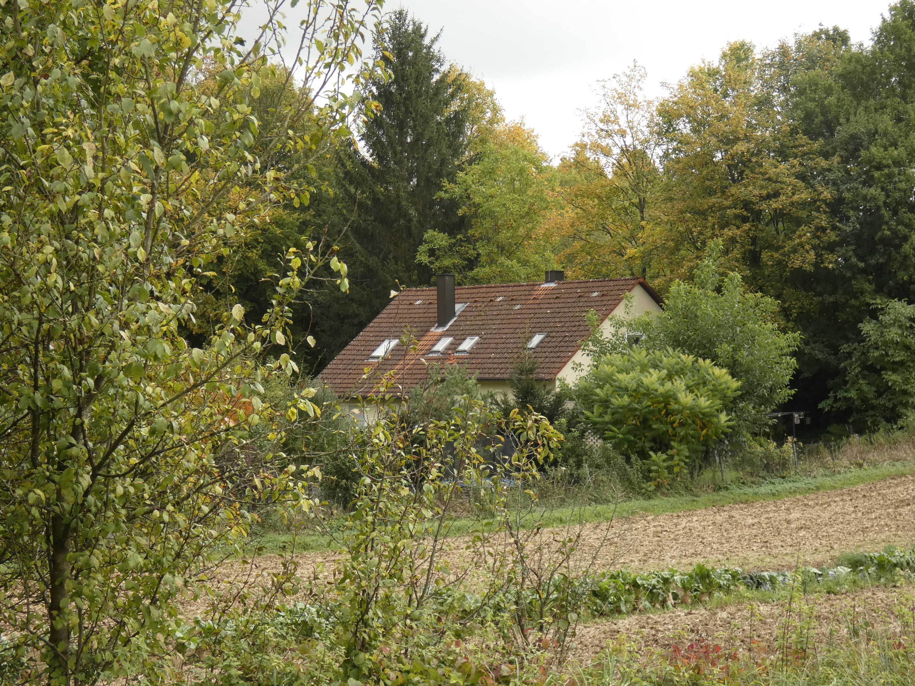 Rund um Natur
