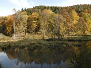 Photo non classée, 5 sur 36, bouton