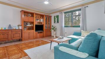 TV, fireplace, table tennis