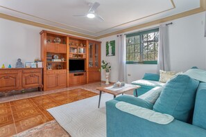 Fernseher, Kamin, Tischtennisplatte