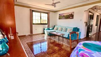 Televisie, een open haard en een tafeltennistafel