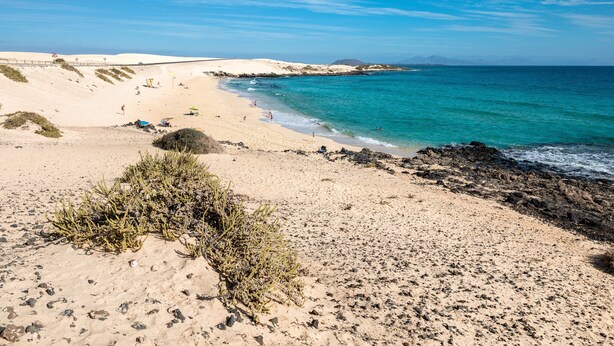 Playa