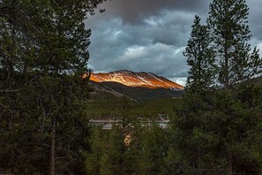 Botón de imagen sin clasificar, 4 de 88