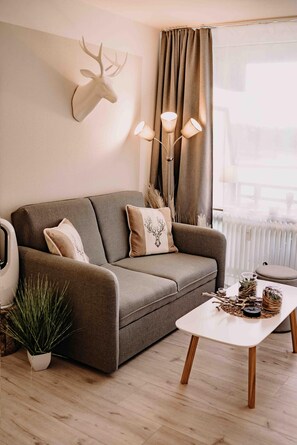 Télévision, chaîne hi-fi