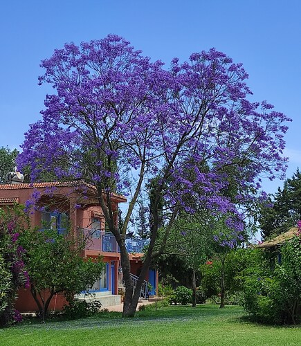 Haven of Peace in the Maamora Forest