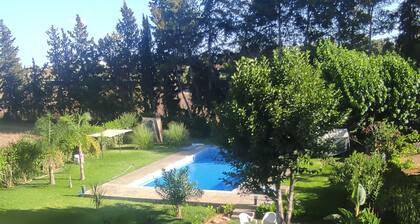 Haven of Peace in the Maamora Forest